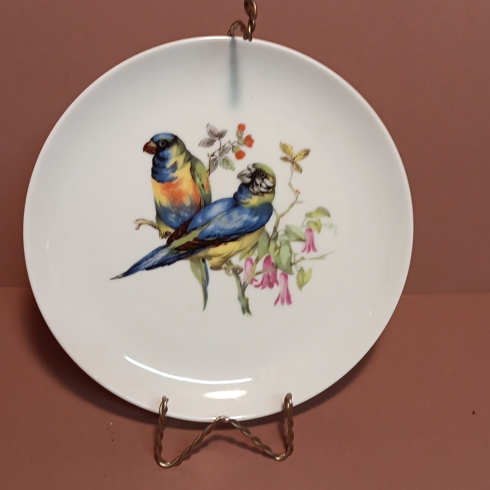 Mottahedeh  Aviary Bird  Plate
